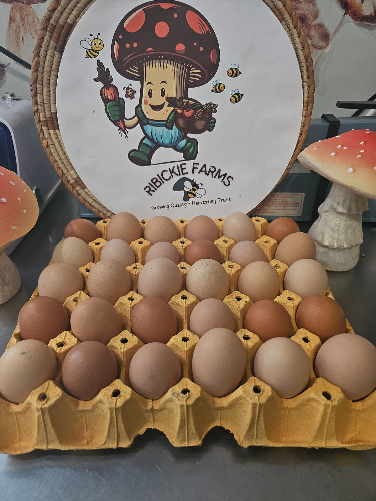 Fresh Chicken Eggs